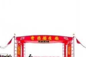 《南山有雪》封面，雪后竹林压弯的枝梢